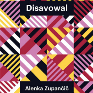 Striped triangles in pink, yellow, black, white. Two black boxes with "Disavowal" and "Alenka Zupancic" in white text.