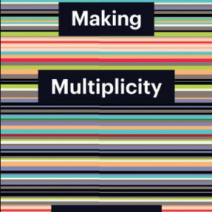 Thin stripes go across horizontally, there is a subtle notch downwards near the middle. Black boxes say "Making" "Multiplicity" and "Gerald Raunig" in white text respectively.